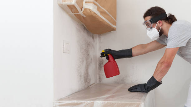 Professional Crawl Space Mold Removal technician working in Alpine, NJ