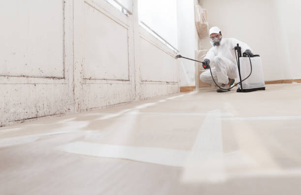24/7 Emergency Crawl Space Mold Removal experts in Alpine, NJ