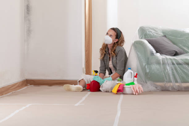 Reliable Crawl Space Mold Removal contractor in Alpine, NJ by WQB Mold Removal