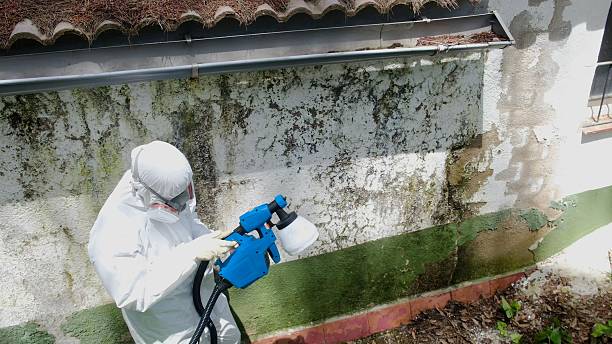 Top rated local Crawl Space Mold Removal specialists in Alpine, NJ